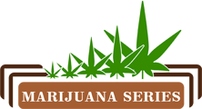 Submit Blog - Marijuana Series